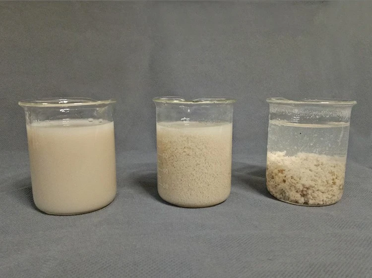 Cationic Polyacrylamide Powder Highly Effective Flocculant for Water Treatment and Industrial Processes (4) Cationic Polyacrylamide Powder Highly Effective Flocculant for Water Treatment and Industrial Processes (4)