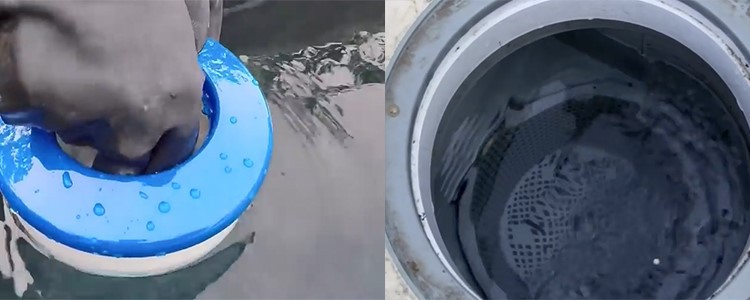 Swimming Pool Chemicals Trichloroisocyanuric Acid TCCA 90 (6)