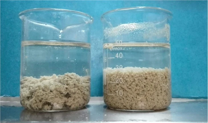 Cationic Polyacrylamide