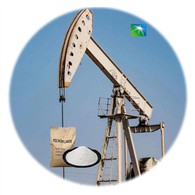 โพลีอะคริลาไมด์ประจุลบ