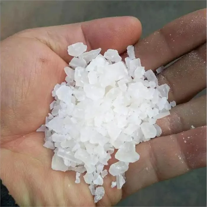 product-700-700 product-700-700