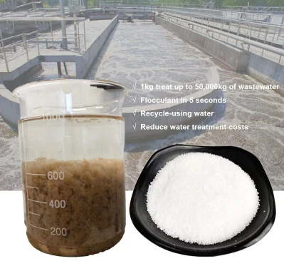 product-399-373 product-399-373